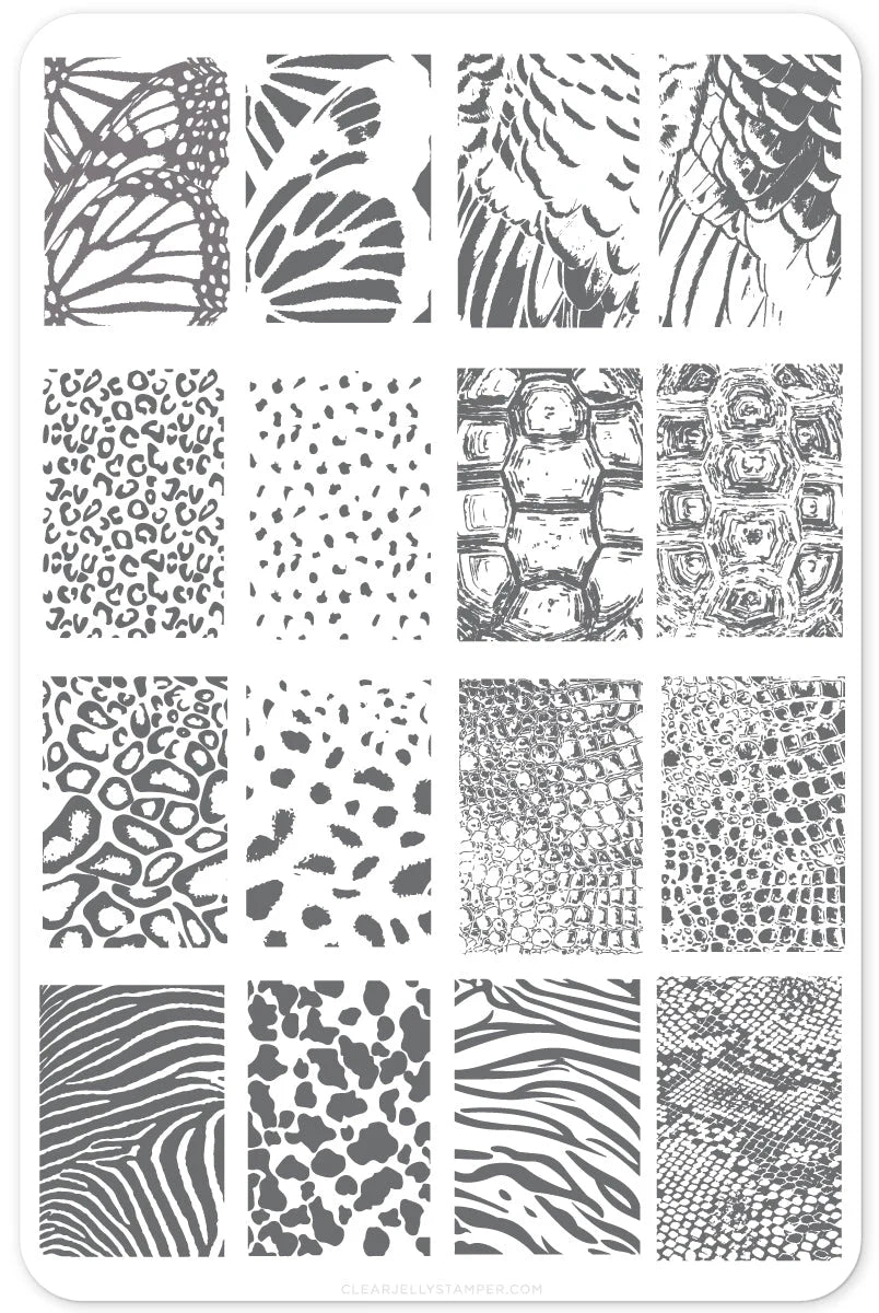 Kingdom of the Wild Etched Nail Stamping Plate