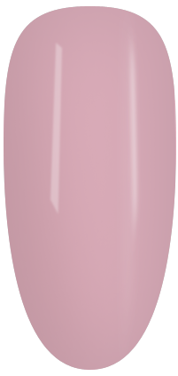 SS288